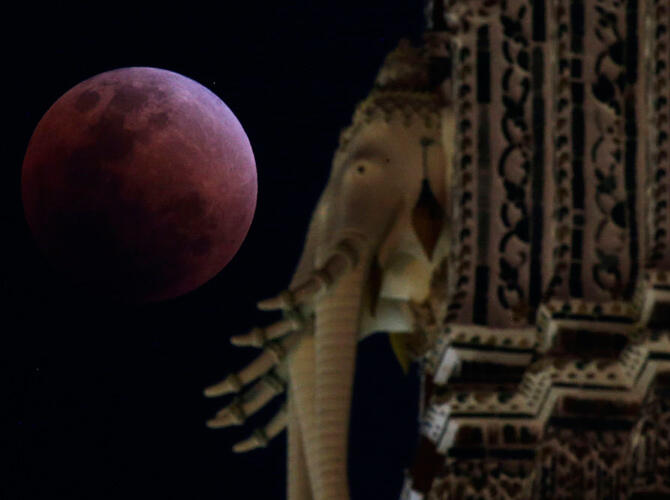 Super Blue Blood Moon Eclipse. Фото: sputniknews.com