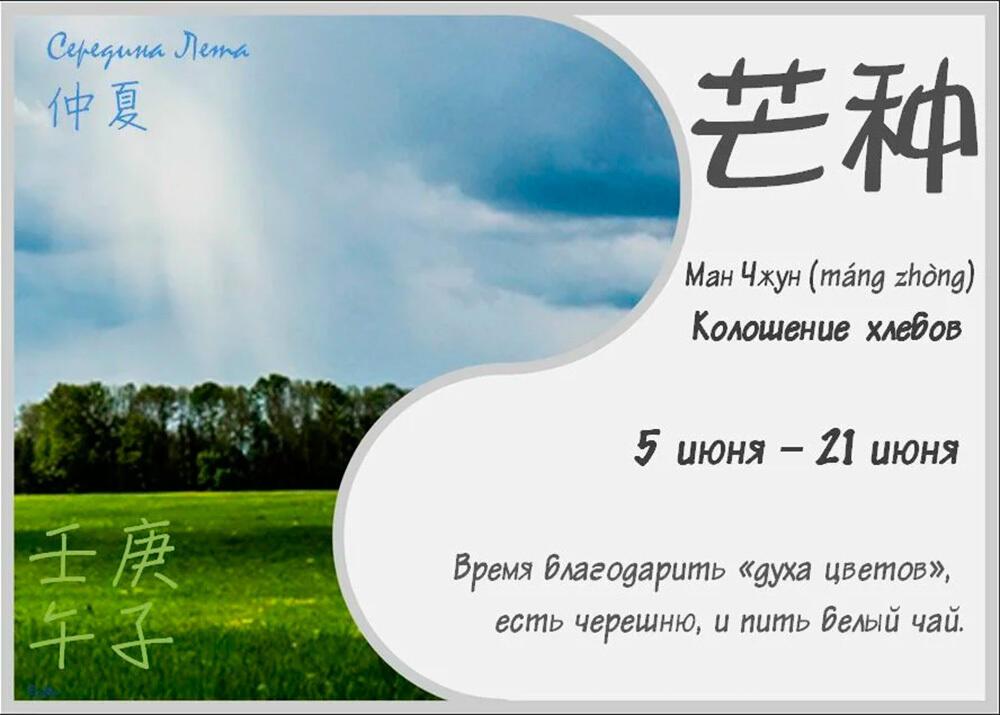 ТРАДИЦИОННАЯ КУЛЬТУРА КИТАЯ. 24 сезона традиционного китайского сельскохозяйственного календаря. Манчжун - Колошение хлебов