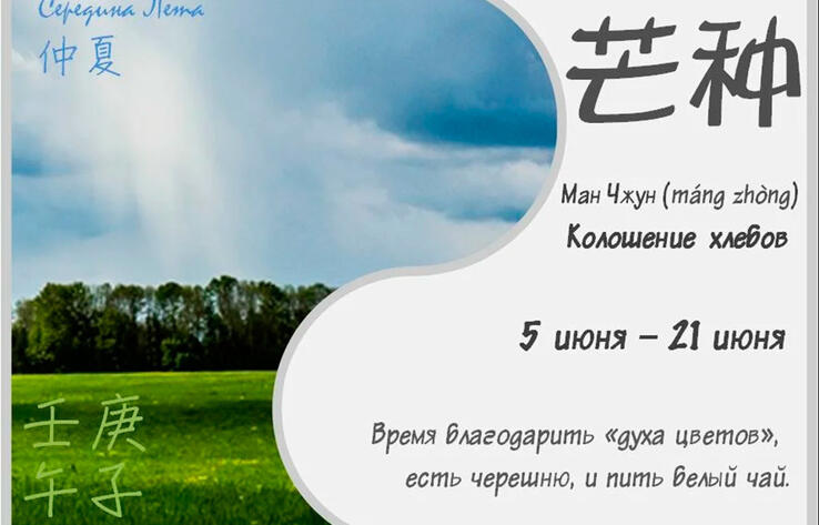 ТРАДИЦИОННАЯ КУЛЬТУРА КИТАЯ. 24 сезона традиционного китайского сельскохозяйственного календаря. Манчжун - Колошение хлебов