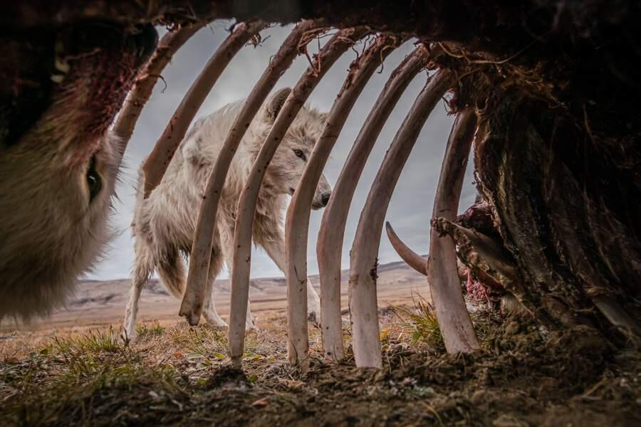Outstanding Images Of The Year. Images | iz.ru