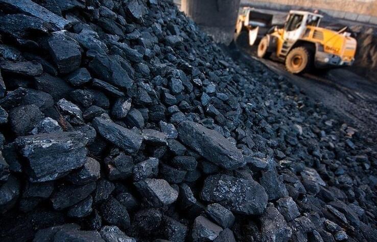 Тоқаев ШҚО әкіміне тұрғындарды көмірмен қамтамасыз етуді тапсырды