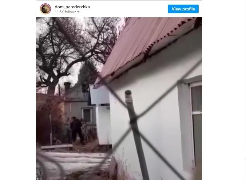 В Алматинской области живодер поджег собаку