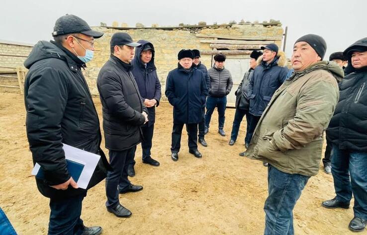 Государство продолжит поддерживать животноводов Мангистауской области 