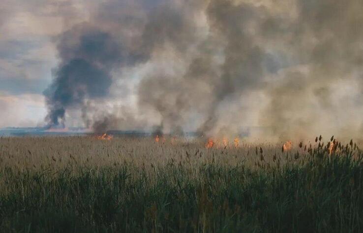Нұр-Сұлтанның шетінде дала өртін сөндіру жалғасуда