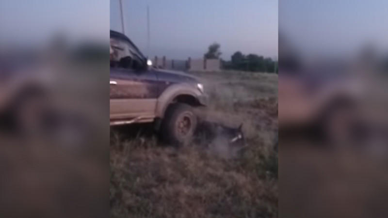 Живодер, намеренно наехавший на лошадь, арестован на 10 суток