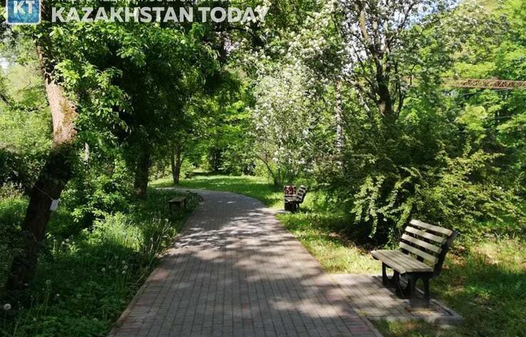 В Алматы усилена работа по поливу зеленых насаждений