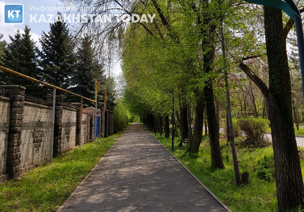 В Актау за пять лет погибли свыше 43 тысяч зеленых насаждений 