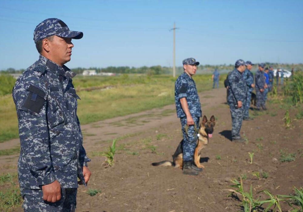 В Костанайской области расширена зона поиска 5-летней девочки . Фото: Polisia.kz