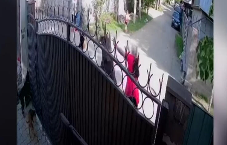 В Алматы вынесен приговор жестоко избившему собственную мать местному жителю 