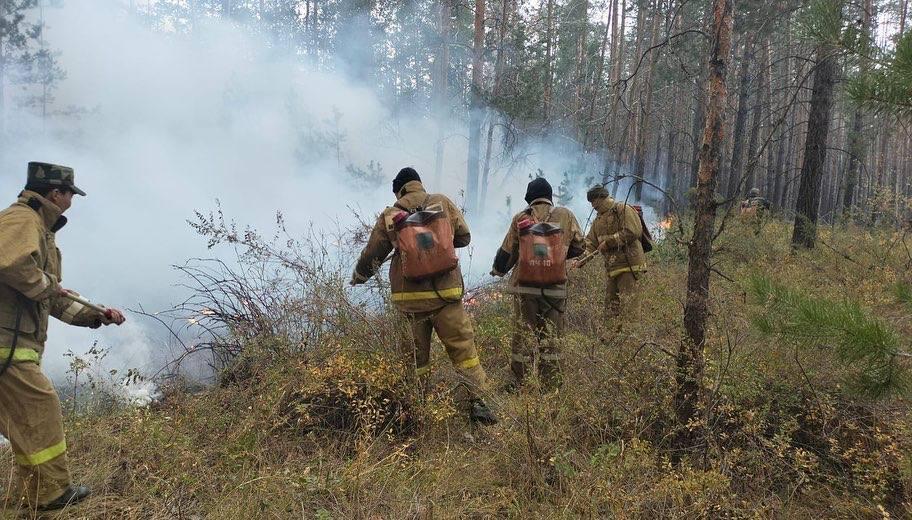 Пожар в Костанайской области: снята угроза населенным пунктам