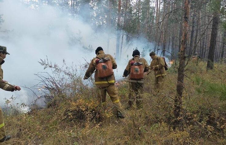 Пожар в Костанайской области: снята угроза населенным пунктам