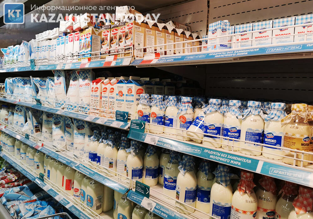 На фоне роста поголовья коров производство молочной продукции в Казахстане сокращается
