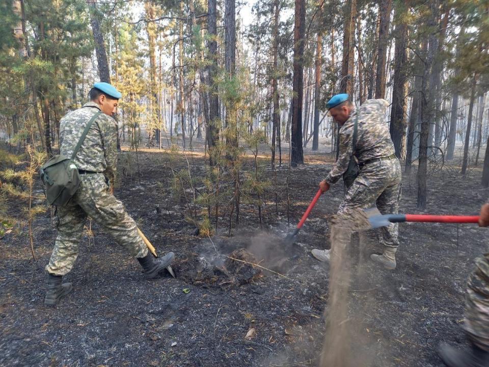 Военнослужащие ВС РК завершили работы по ликвидации пожара в Костанайской области. Фото: МО РК