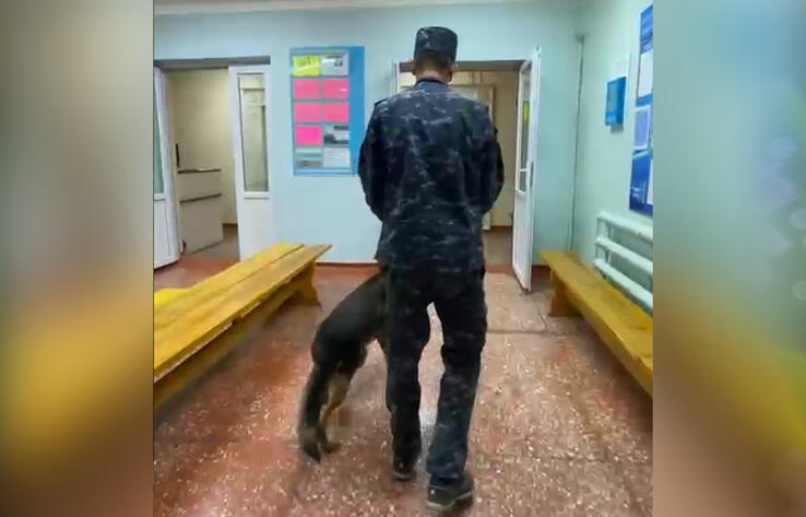 Более тысячи учащихся эвакуировали в Павлодаре из-за очередного сообщения о минировании
