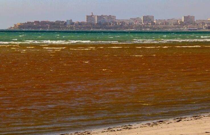Причину покраснения воды в Каспии объяснили экологи 