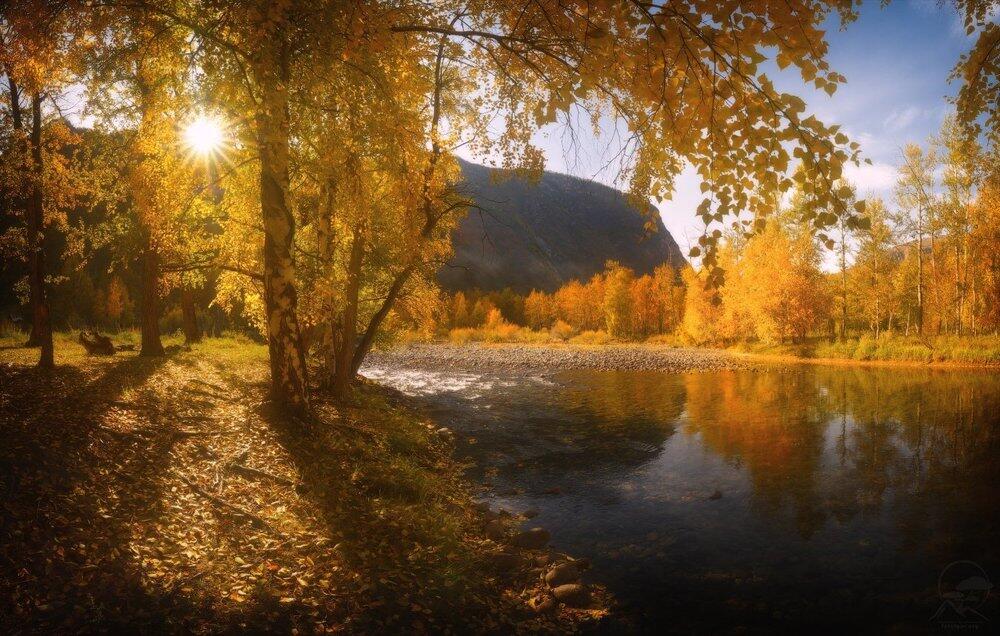 Краски осени. Фото: 35photo.pro Copyright by Анатолий Гордиенко