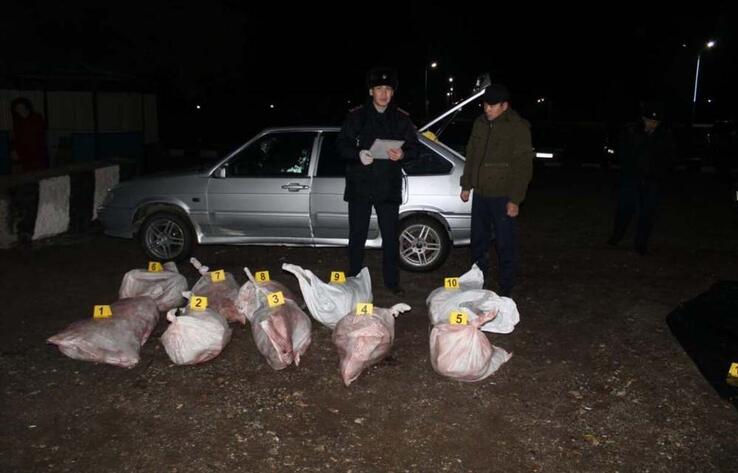 Браконьеров с 27 тушами сайги задержали в Актюбинской области