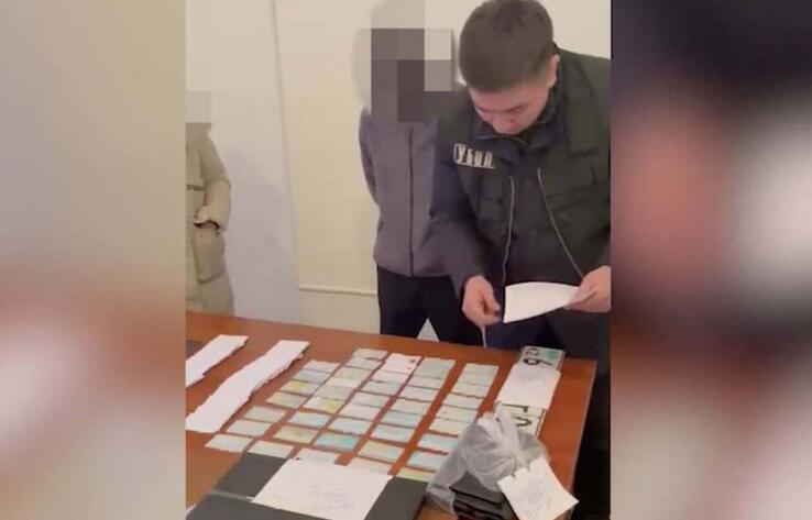 В Жамбылской области задержали подозреваемых в подделке техпаспортов на авто