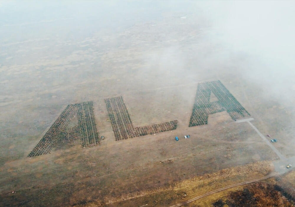 Garden In Shape of ALA Code Appeared In Almaty
