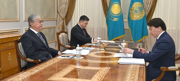 БҚДА басшысы Тоқаевқа монополияға қарсы тергеулердің барысы туралы баяндады
