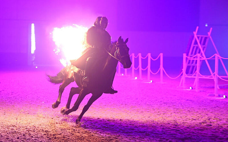 Шоу конных наездников Nomad Stunts. Фото: telegram / aqorda_resmi