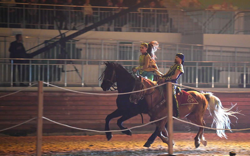 Nomad Stunts тобының өнері. Сурет: telegram / aqorda_resmi