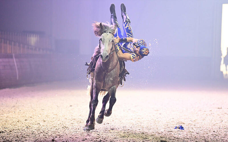 Nomad Stunts тобының өнері. Сурет: telegram / aqorda_resmi