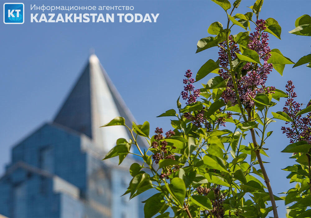 Spring Almaty