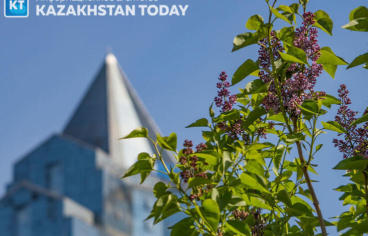 Spring Almaty