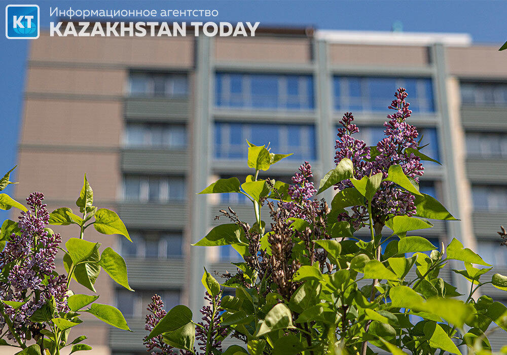 Spring Almaty