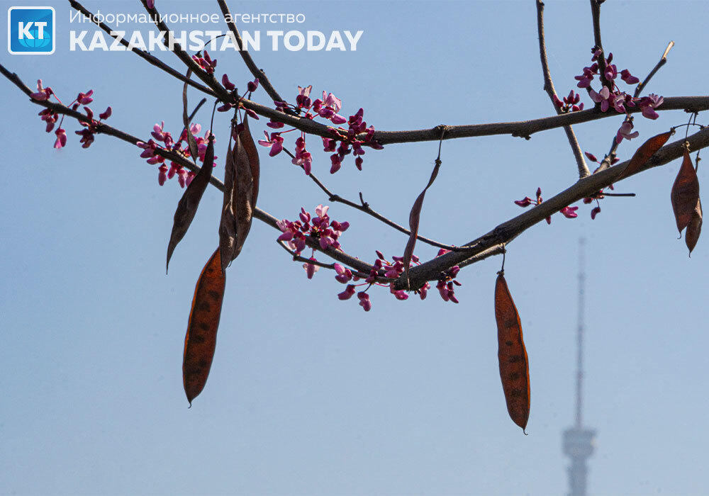 Spring Almaty