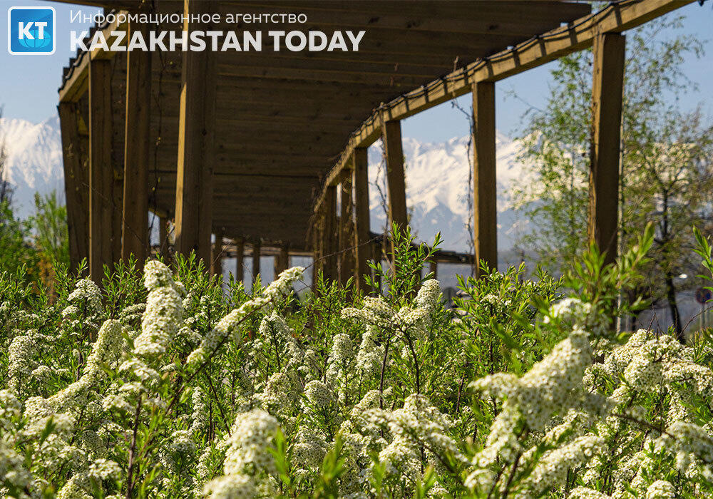 Spring Almaty