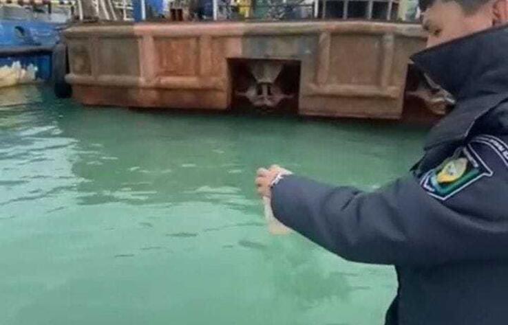 Около 300 литров дизтоплива вылилось в Каспийское море
