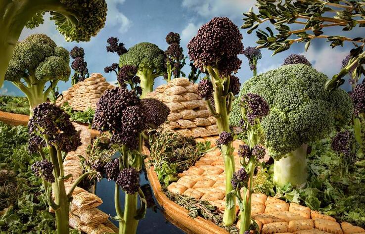 Праздник общей еды: победители конкурса Pink Lady Food Photographer of the Year