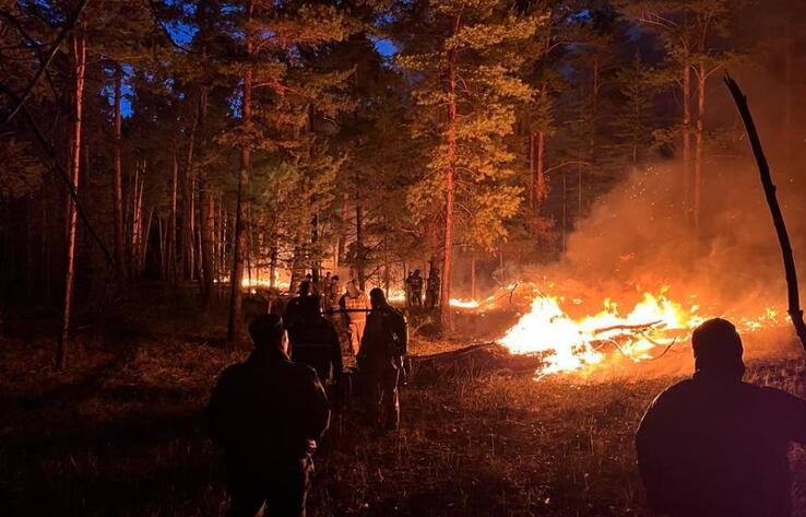 Пожарные остановили распространение лесного пожара в Абайской области 
