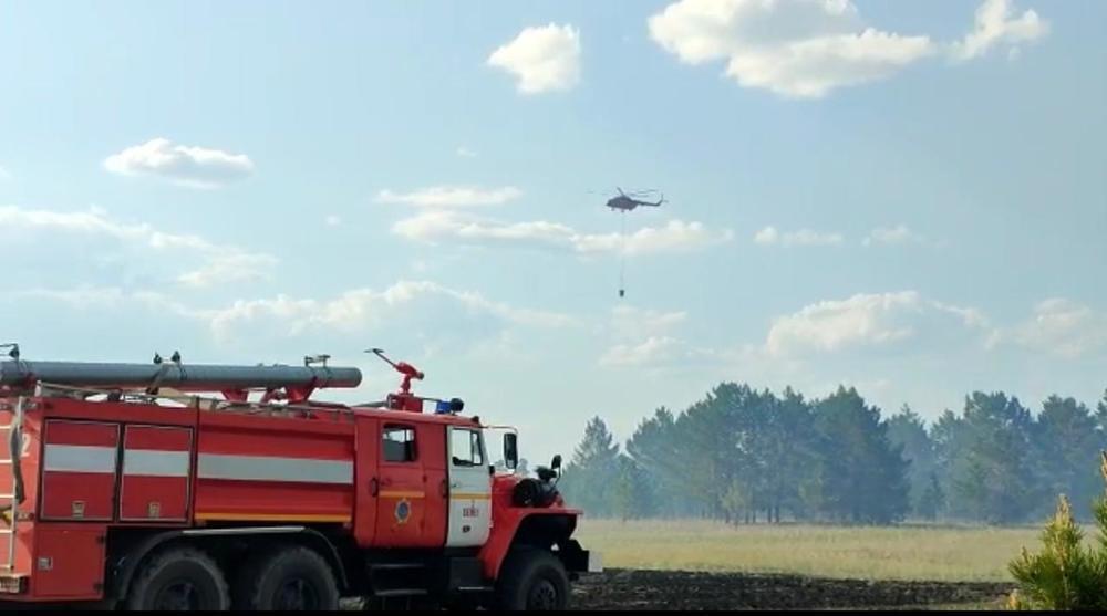 Лесной пожар в Абайской области