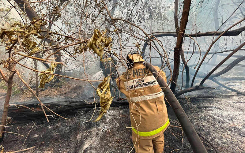 Fire in the Abai region. Images | MES RK