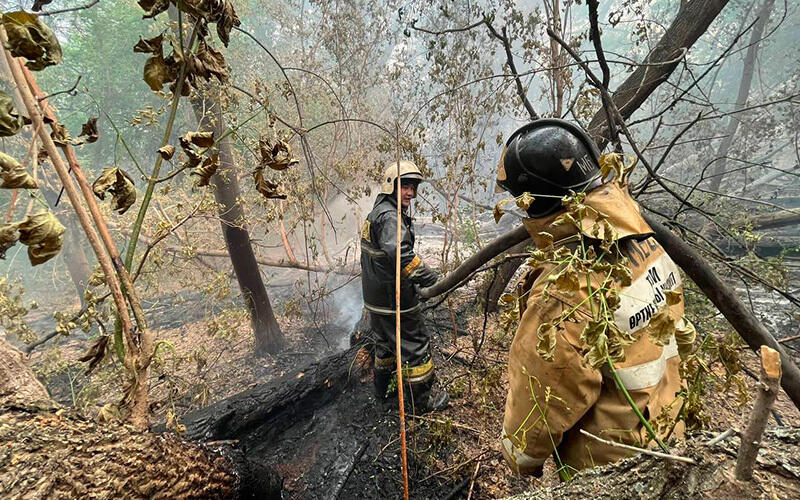 Fire in the Abai region. Images | MES RK