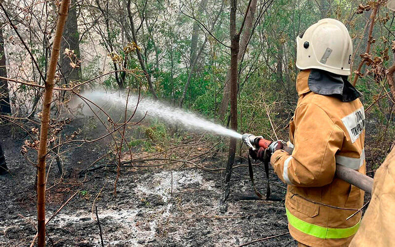 Fire in the Abai region. Images | MES RK