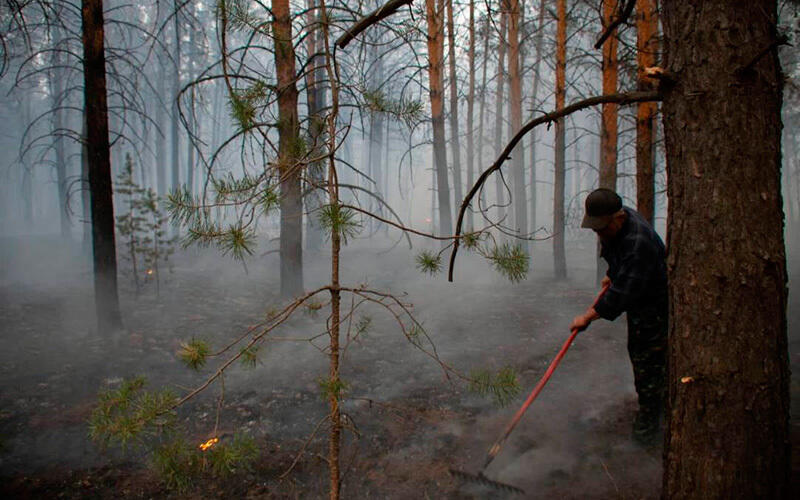 Fire in the Abai region. Images | Ministry of Ecology and Natural Resources
