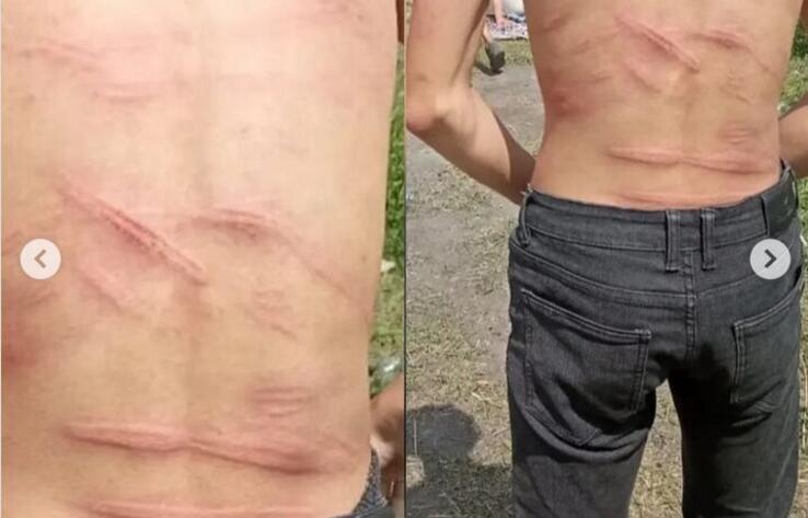 Жестокому буллингу подвергли школьника в Караганде 