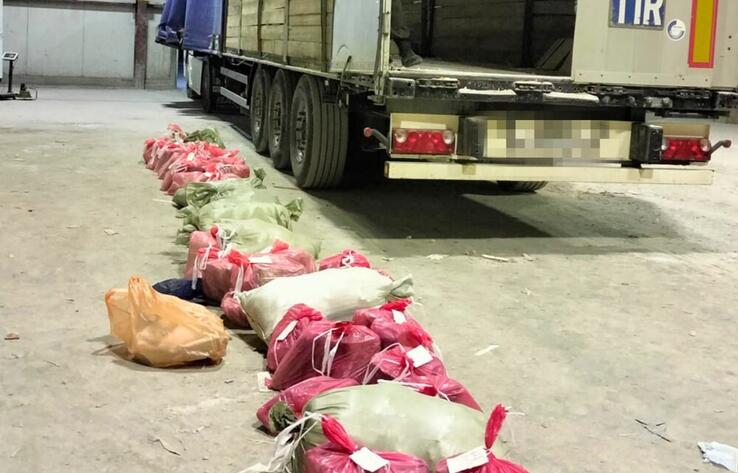 В Казахстан пытались ввезти наркотики на $6 млн
