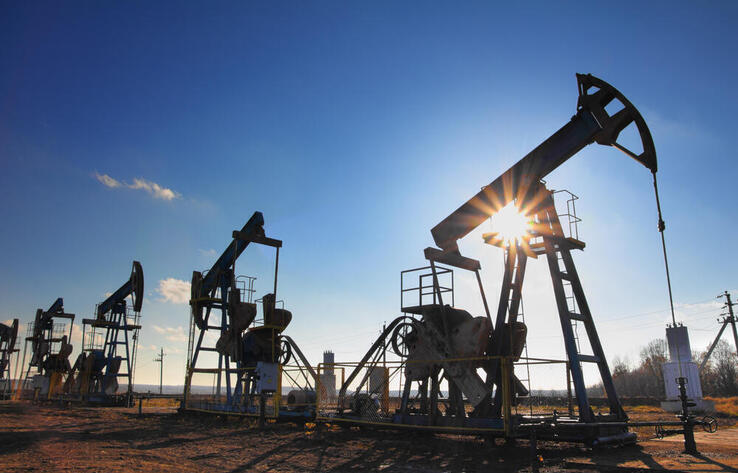 В Казахстане месторождения золота, угля и нефти вернули в госсобственность