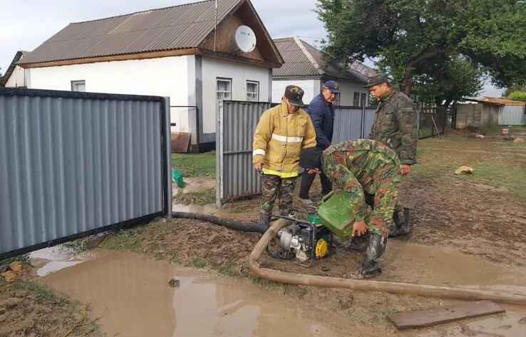 Поселок затопило в области Жетісу