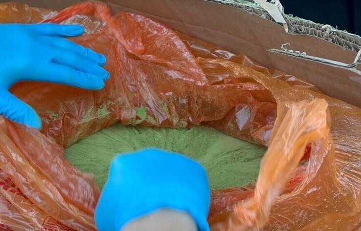 В Акмолинской области за сбыт гашиша задержали тренера по лыжному спорту 
