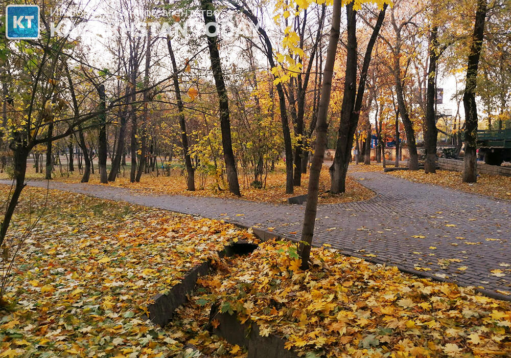 Теплый ноябрь на севере страны радует казахстанцев