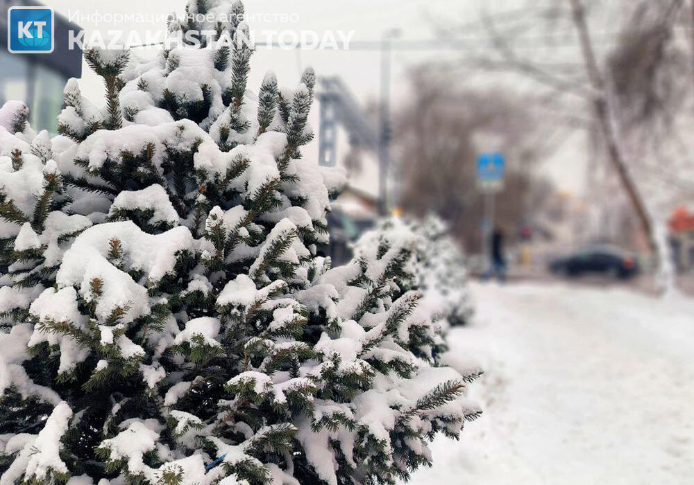 Первый снег выпал в Алматы