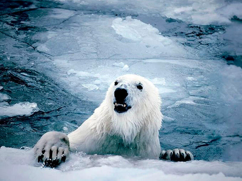 Animals of the Almaty Zoo. Images | instagram/mihailsorokoumov54