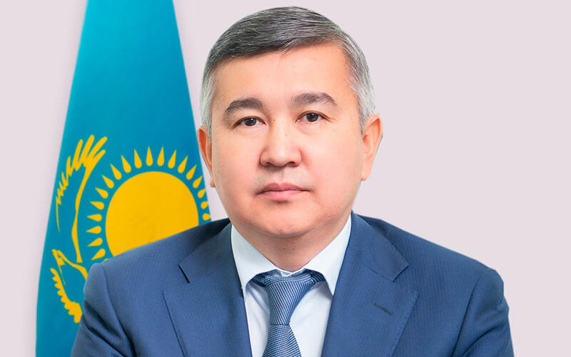 Назначен глава МНЭ 