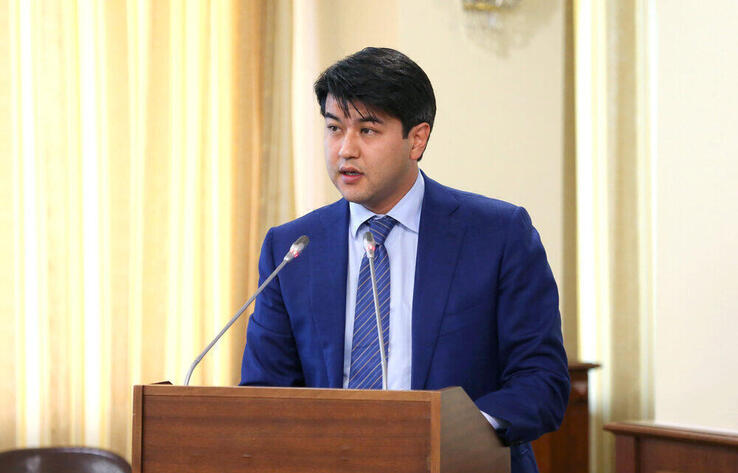 Детский омбудсмен заявила о попытках оправдать Бишимбаева